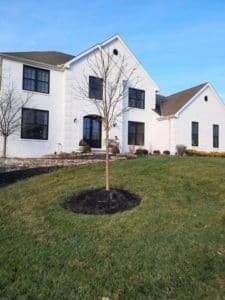 House-Windows-After-1-225x300.jpg